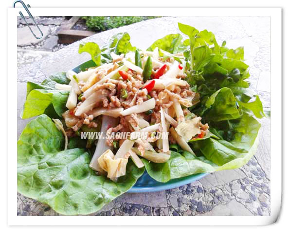 ยำแก่นตะวันไม่จำ-เจ