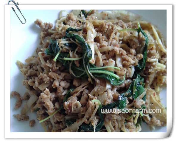 ผัดเผ็ดหน่อไม้ดองแก่นตะวันผง (สูตรเจ)