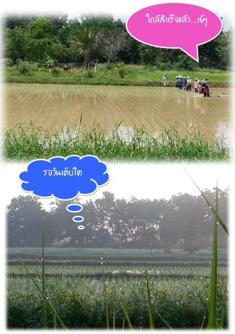 Fqf3nN.jpg [2205x3129px] ฝากรูป